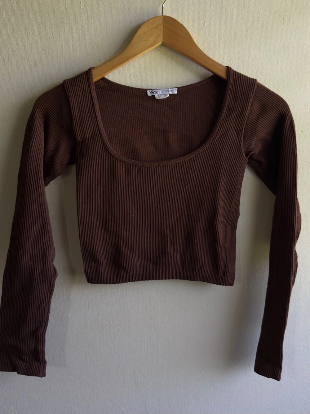 Zara Ribbed Long Sleeve Crop Top in Brown